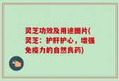 灵芝功效及用途图片(灵芝：护肝护心，增强免疫力的自然良药)