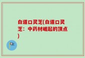 白道口灵芝(白道口灵芝：中药材崛起的顶点)