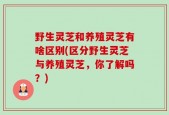 野生灵芝和养殖灵芝有啥区别(区分野生灵芝与养殖灵芝，你了解吗？)
