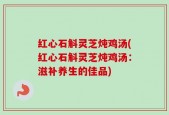 红心石斛灵芝炖鸡汤(红心石斛灵芝炖鸡汤：滋补养生的佳品)