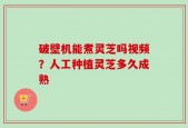 破壁机能煮灵芝吗视频？人工种植灵芝多久成熟
