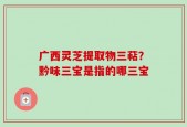 广西灵芝提取物三萜？黔味三宝是指的哪三宝