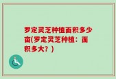 罗定灵芝种植面积多少亩(罗定灵芝种植：面积多大？)