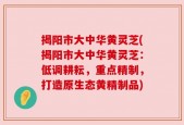 揭阳市大中华黄灵芝(揭阳市大中华黄灵芝：低调耕耘，重点精制，打造原生态黄精制品)
