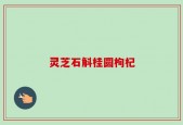 灵芝石斛桂圆枸杞