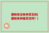 濮阳有没有种灵芝的(濮阳有种植灵芝吗？)