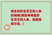 博主采野生灵芝和人参的视频(摄影师采集野生灵芝和人参，拍摄视频分享。)