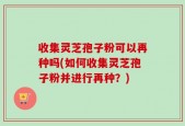 收集灵芝孢子粉可以再种吗(如何收集灵芝孢子粉并进行再种？)