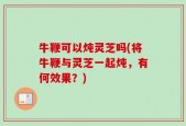 牛鞭可以炖灵芝吗(将牛鞭与灵芝一起炖，有何效果？)