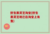 野生黑灵芝淘宝(野生黑灵芝现已在淘宝上有售)