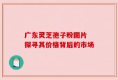广东灵芝孢子粉图片 探寻其价格背后的市场