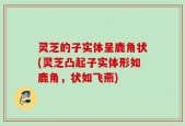 灵芝的子实体呈鹿角状(灵芝凸起子实体形如鹿角，状如飞燕)