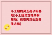 小土妞的灵芝孢子粉基地(小土妞灵芝孢子粉基地：感受天然生态养生之旅)