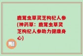 鹿茸虫草灵芝枸杞人参(神药草：鹿茸虫草灵芝枸杞人参助力健康身心)