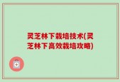 灵芝林下栽培技术(灵芝林下高效栽培攻略)
