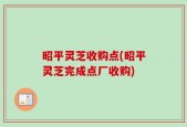 昭平灵芝收购点(昭平灵芝完成点厂收购)
