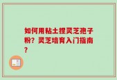 如何用粘土捏灵芝孢子粉？灵芝培育入门指南？