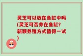 灵芝可以放在鱼缸中吗(灵芝可否养在鱼缸？新颖养殖方式值得一试)