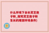 什么环境下会长灵芝孢子粉_探究灵芝孢子粉生长的理想环境条件)