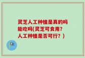 灵芝人工种植是真的吗能吃吗(灵芝可食用？人工种植是否可行？)