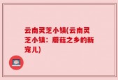 云南灵芝小镇(云南灵芝小镇：蘑菇之乡的新宠儿)