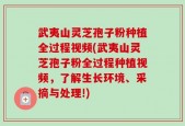 武夷山灵芝孢子粉种植全过程视频(武夷山灵芝孢子粉全过程种植视频，了解生长环境、采摘与处理!)