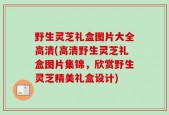 野生灵芝礼盒图片大全高清(高清野生灵芝礼盒图片集锦，欣赏野生灵芝精美礼盒设计)