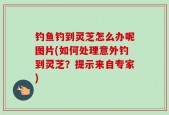 钓鱼钓到灵芝怎么办呢图片(如何处理意外钓到灵芝？提示来自专家)