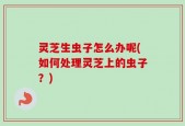 灵芝生虫子怎么办呢(如何处理灵芝上的虫子？)