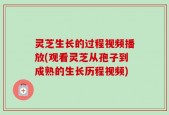 灵芝生长的过程视频播放(观看灵芝从孢子到成熟的生长历程视频)