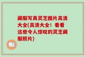 藏服写真灵芝图片高清大全(高清大全！看看这些令人惊叹的灵芝藏服照片)