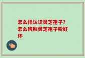 怎么样认识灵芝孢子？怎么辨别灵芝孢子粉好坏