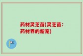 药材灵芝苗(灵芝苗：药材界的新宠)
