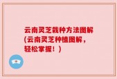 云南灵芝栽种方法图解(云南灵芝种植图解，轻松掌握！)