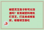 破壁灵芝孢子粉可以泡酒吗？家用破壁料理机打灵芝，打出来成棉絮状，嚼着硬怎吞吃