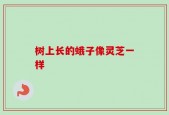 树上长的蛾子像灵芝一样
