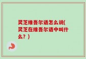 灵芝维吾尔语怎么说(灵芝在维吾尔语中叫什么？)
