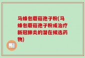 马蜂包蘑菇孢子粉(马蜂包蘑菇孢子粉成治疗新冠肺炎的潜在候选药物)