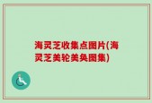 海灵芝收集点图片(海灵芝美轮美奂图集)