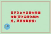 灵芝怎么当盆景树养殖视频(灵芝盆景怎样养殖，简易视频教程)