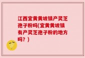 江西宜黄黄坡镇产灵芝孢子粉吗(宜黄黄坡镇有产灵芝孢子粉的地方吗？)