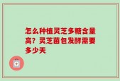 怎么种植灵芝多糖含量高？灵芝菌包发酵需要多少天