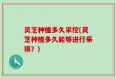 灵芝种植多久采挖(灵芝种植多久能够进行采摘？)