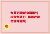 大灵芝菌值钱吗图片(珍贵大灵芝：值得收藏也值得消费)
