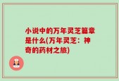 小说中的万年灵芝篇章是什么(万年灵芝：神奇的药材之旅)