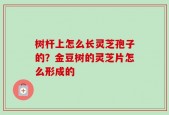 树杆上怎么长灵芝孢子的？金豆树的灵芝片怎么形成的