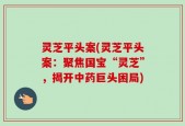 灵芝平头案(灵芝平头案：聚焦国宝“灵芝”，揭开中药巨头困局)