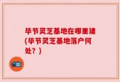 毕节灵芝基地在哪里建(毕节灵芝基地落户何处？)