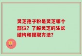 灵芝孢子粉是灵芝哪个部位？了解灵芝的生长结构和提取方法？
