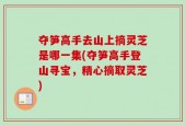 夺笋高手去山上摘灵芝是哪一集(夺笋高手登山寻宝，精心摘取灵芝)